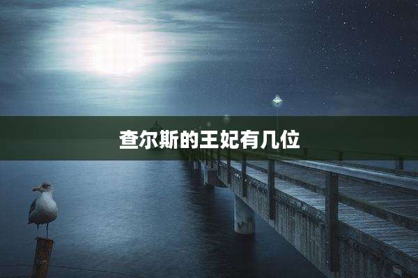 查尔斯的王妃有几位