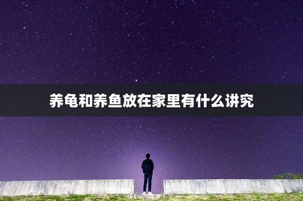 养龟和养鱼放在家里有什么讲究