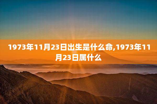 1973年11月23日出生是什么命,1973年11月23日属什么