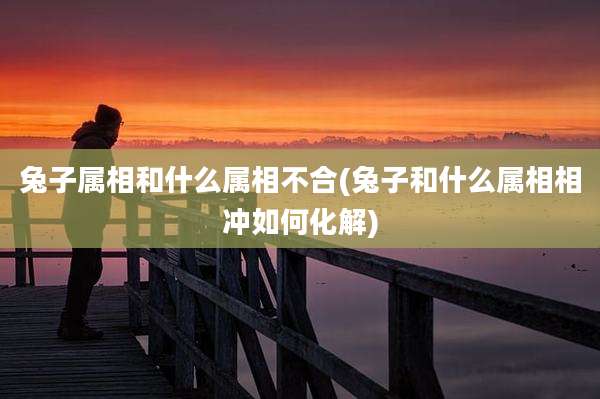 兔子属相和什么属相不合(兔子和什么属相相冲如何化解)