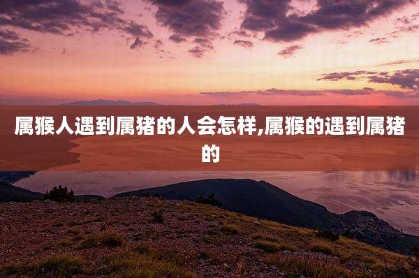 属猴人遇到属猪的人会怎样,属猴的遇到属猪的