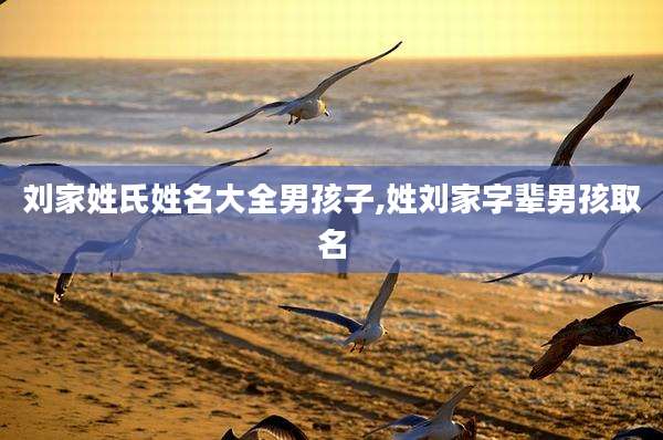 刘家姓氏姓名大全男孩子,姓刘家字辈男孩取名