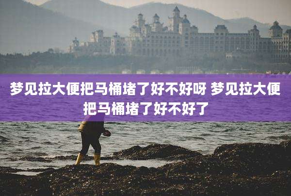 梦见拉大便把马桶堵了好不好呀 梦见拉大便把马桶堵了好不好了