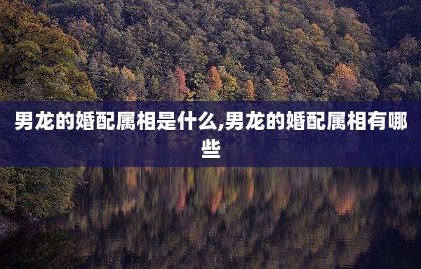 男龙的婚配属相是什么,男龙的婚配属相有哪些