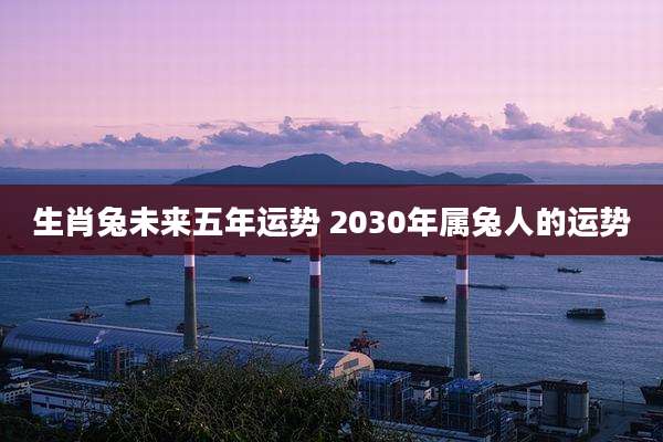 生肖兔未来五年运势 2030年属兔人的运势