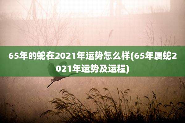 65年的蛇在2021年运势怎么样(65年属蛇2021年运势及运程)