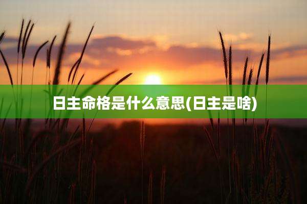 日主命格是什么意思(日主是啥)