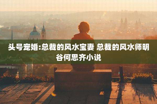 头号宠婚:总裁的风水宝妻 总裁的风水师明谷何思齐小说