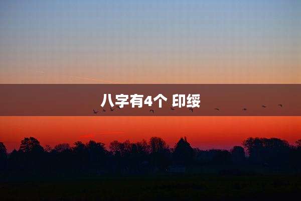 八字有4个 印绥