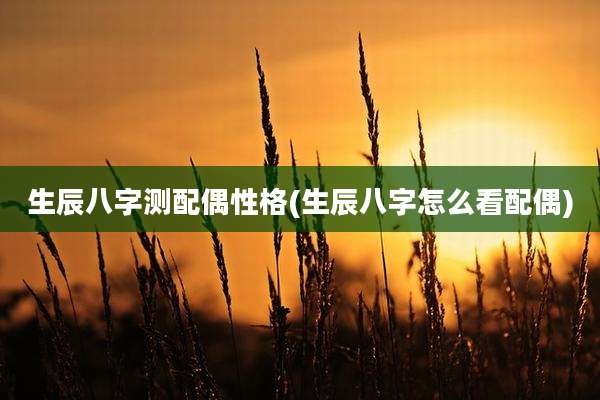 生辰八字测配偶性格(生辰八字怎么看配偶)