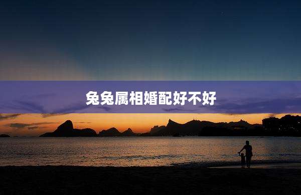 兔兔属相婚配好不好