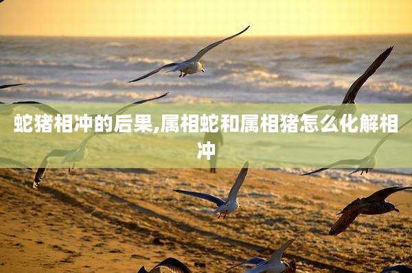 蛇猪相冲的后果,属相蛇和属相猪怎么化解相冲