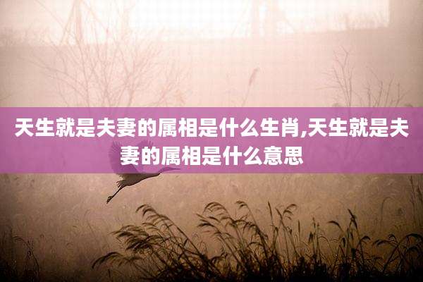 天生就是夫妻的属相是什么生肖,天生就是夫妻的属相是什么意思