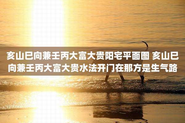 亥山巳向兼壬丙大富大贵阳宅平面图 亥山巳向兼壬丙大富大贵水法开门在那方是生气路