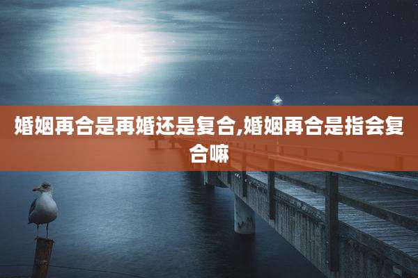 婚姻再合是再婚还是复合,婚姻再合是指会复合嘛