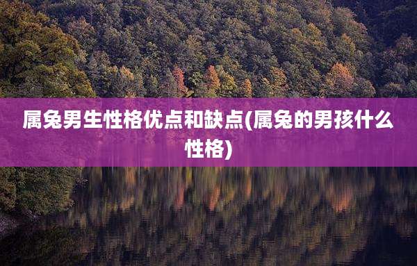 属兔男生性格优点和缺点(属兔的男孩什么性格)