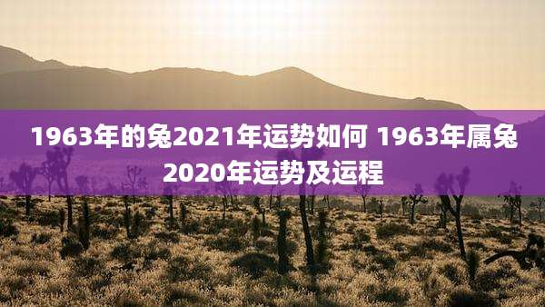 1963年的兔2021年运势如何 1963年属兔2020年运势及运程