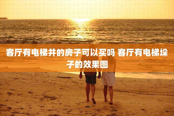 客厅有电梯井的房子可以买吗 客厅有电梯垛子的效果图