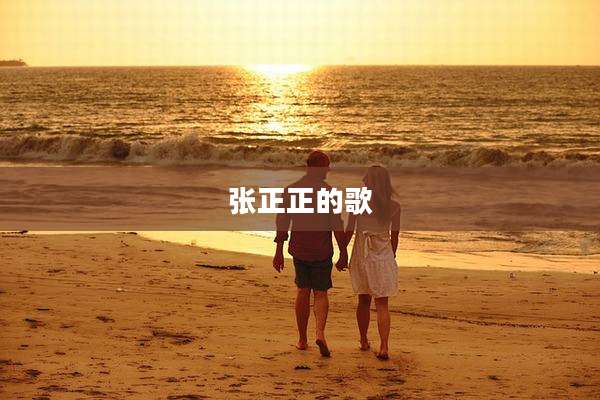 张正正的歌