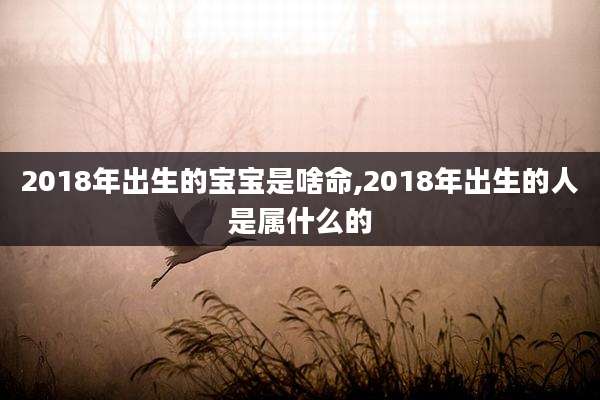 2018年出生的宝宝是啥命,2018年出生的人是属什么的