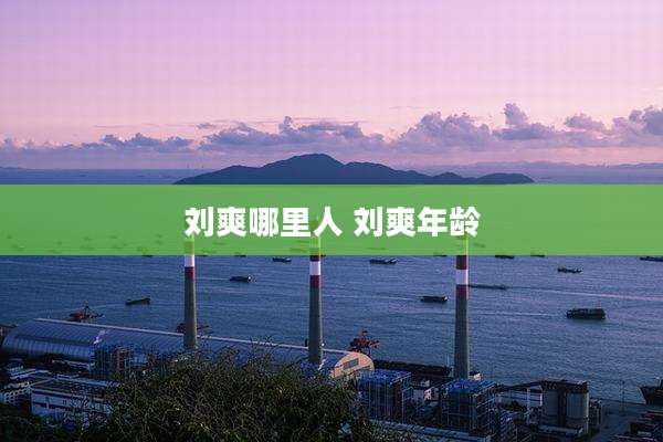 刘爽哪里人 刘爽年龄