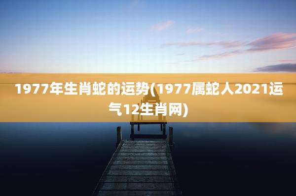 1977年生肖蛇的运势(1977属蛇人2021运气12生肖网)