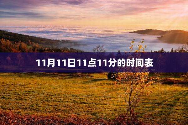 11月11日11点11分的时间表