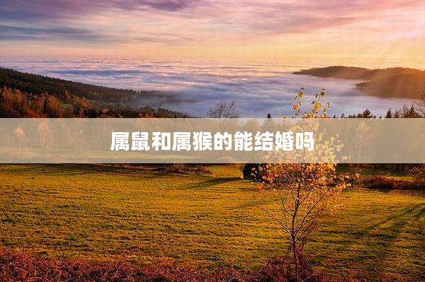 属鼠和属猴的能结婚吗