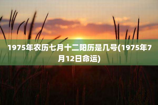 1975年农历七月十二阳历是几号(1975年7月12日命运)