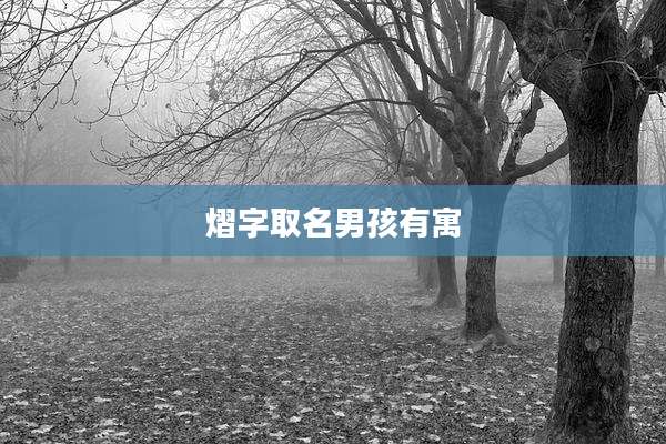 熠字取名男孩有寓