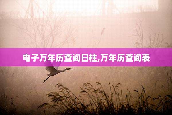 电子万年历查询日柱,万年历查询表