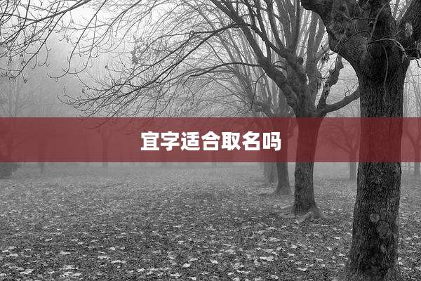 宜字适合取名吗