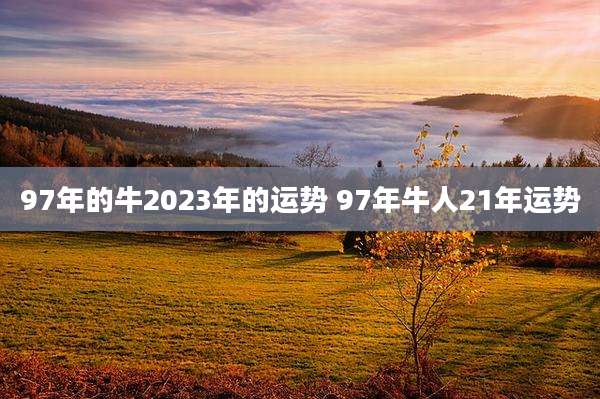 97年的牛2023年的运势 97年牛人21年运势