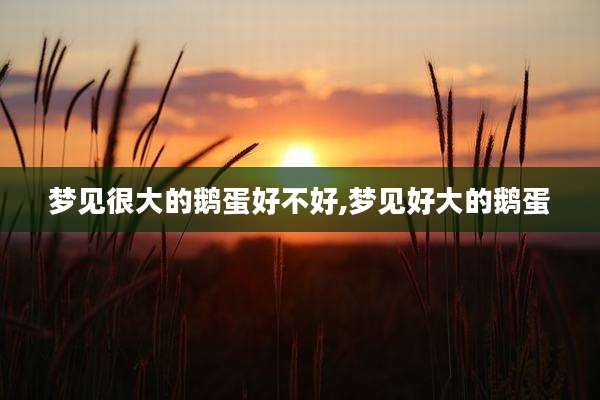 梦见很大的鹅蛋好不好,梦见好大的鹅蛋