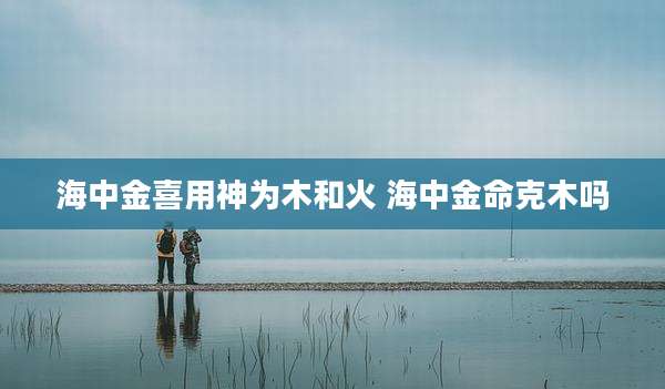 海中金喜用神为木和火 海中金命克木吗