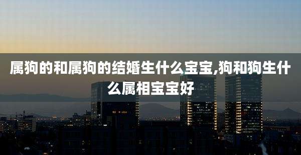 属狗的和属狗的结婚生什么宝宝,狗和狗生什么属相宝宝好