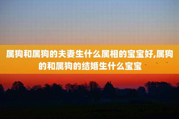 属狗和属狗的夫妻生什么属相的宝宝好,属狗的和属狗的结婚生什么宝宝