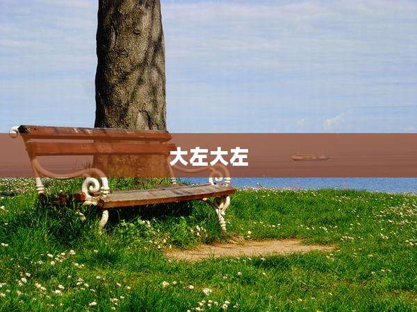 大左大左
