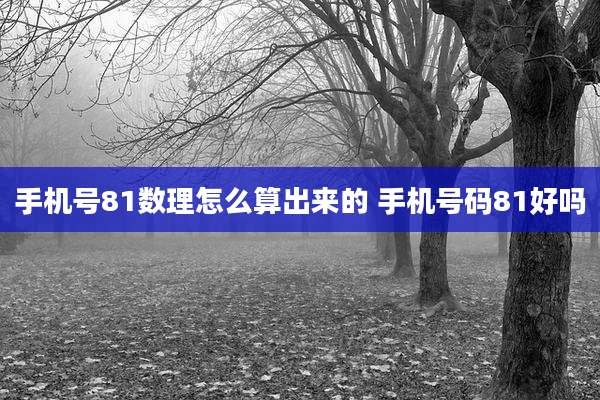 手机号81数理怎么算出来的 手机号码81好吗