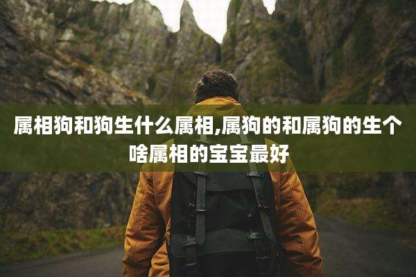 属相狗和狗生什么属相,属狗的和属狗的生个啥属相的宝宝最好
