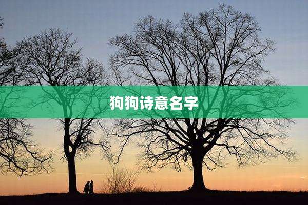 狗狗诗意名字