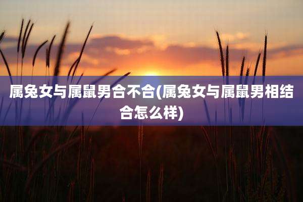 属兔女与属鼠男合不合(属兔女与属鼠男相结合怎么样)