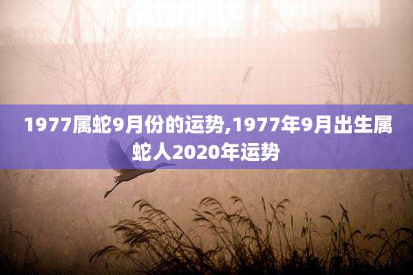 1977属蛇9月份的运势,1977年9月出生属蛇人2020年运势