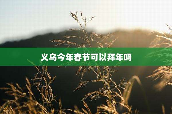 义乌今年春节可以拜年吗