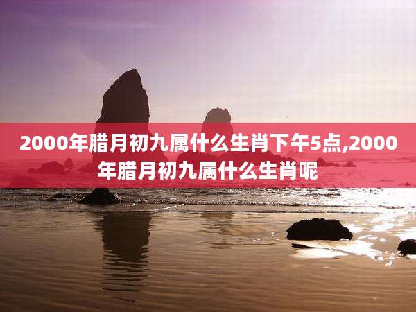 2000年腊月初九属什么生肖下午5点,2000年腊月初九属什么生肖呢