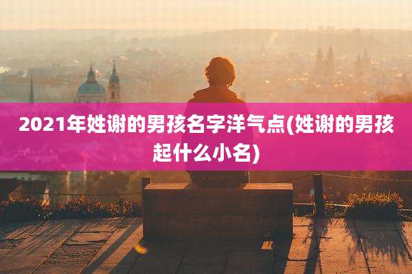 2021年姓谢的男孩名字洋气点(姓谢的男孩起什么小名)