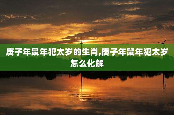庚子年鼠年犯太岁的生肖,庚子年鼠年犯太岁怎么化解