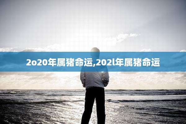 2o20年属猪命运,202l年属猪命运