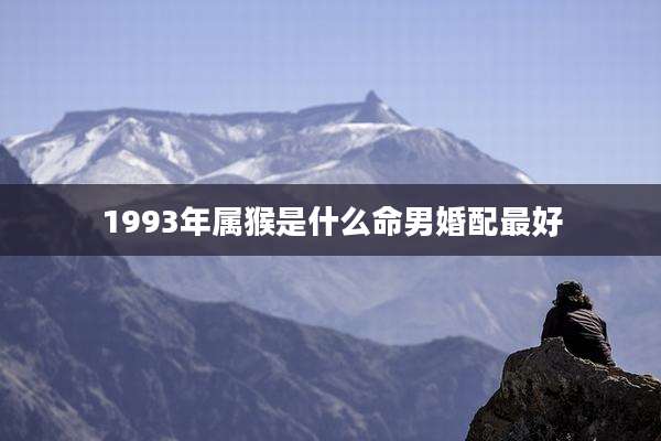 1993年属猴是什么命男婚配最好