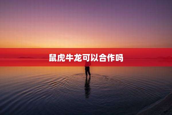 鼠虎牛龙可以合作吗
